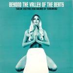 Buy vinyl record Various Beyond The Valley Of The Beats for sale